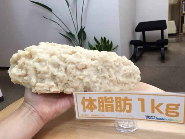 脂肪模型.JPG